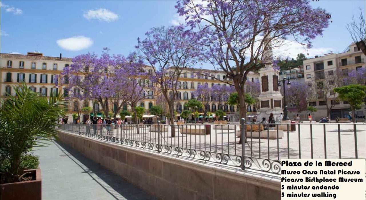 Big Flat In City Center With Patio Málaga Dış mekan fotoğraf